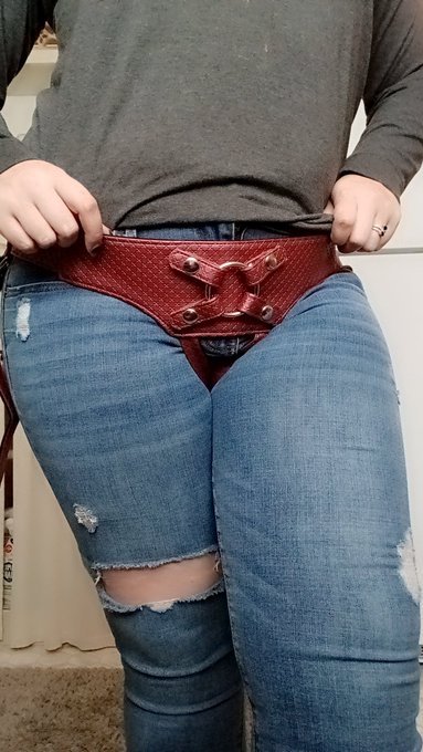 New strap on harness. Send $80 for the reimbursement. https://t.co/MEerIumTxa