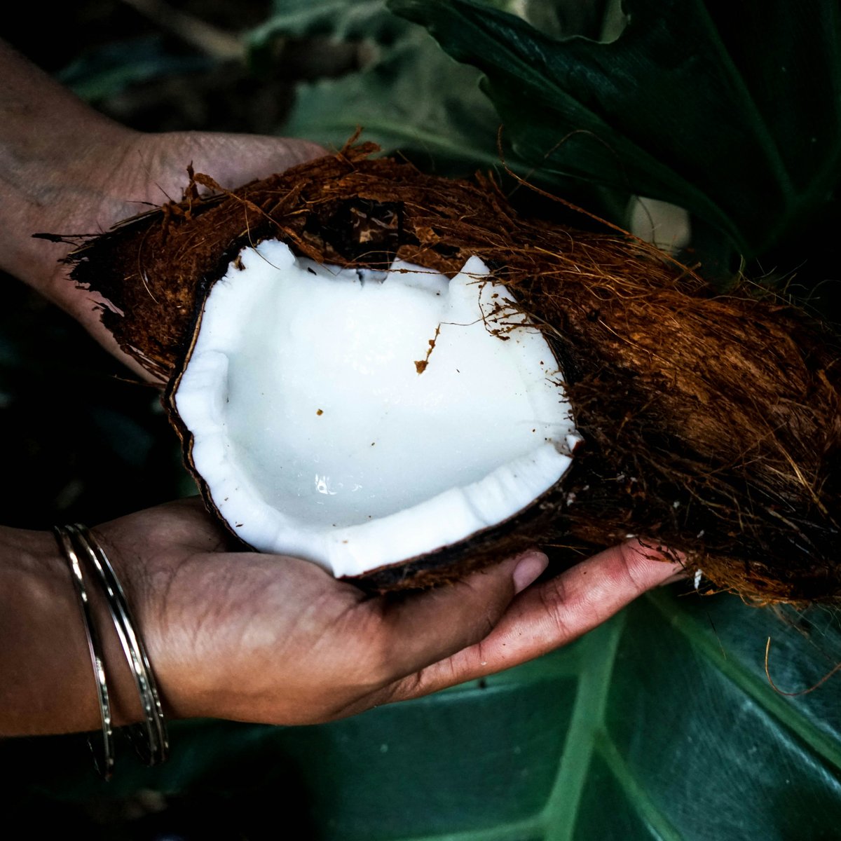 Chaokoh_UK's tweet image. Cracking open a cold one this summer 🥥

#chaokoh #coconutwater #freshcoconut