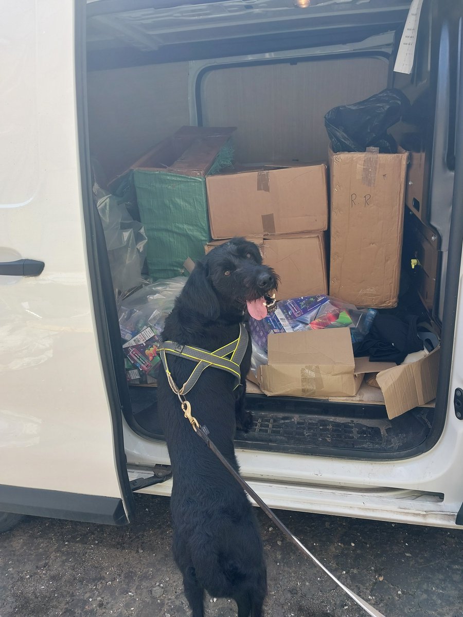 Police Scotland Greater Glasgow (@psosgreaterglas) on Twitter photo A busy day for Bo working alongside Police and Trading Standards officers in the north of Glasgow seizing illicit tobacco and vapes from local shops. Bo filled a whole van from her detections 🐶 <a href="/GlasgowCC/">Glasgow City Council</a> <a href="/ConsumerDogs/">consumer protection dogs uk</a> <a href="/socotss/">SCOTSS</a> A busy day for Bo working alongside Police and Trading Standards officers in the north of Glasgow seizing illicit tobacco and vapes from local shops. Bo filled a whole van from her detections 🐶 <a href="/GlasgowCC/">Glasgow City Council</a> <a href="/ConsumerDogs/">consumer protection dogs uk</a> <a href="/socotss/">SCOTSS</a>