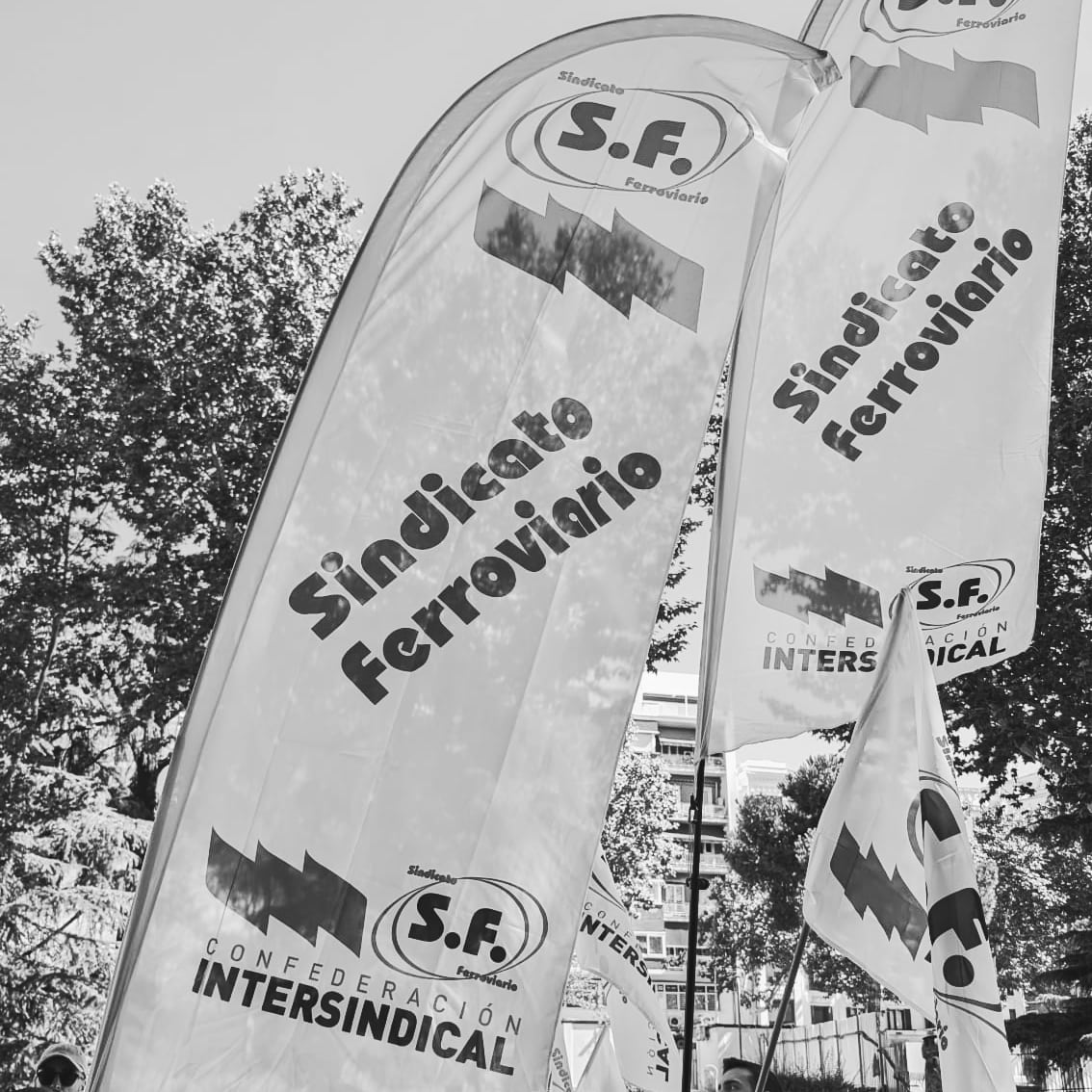SF Madrid tweet media