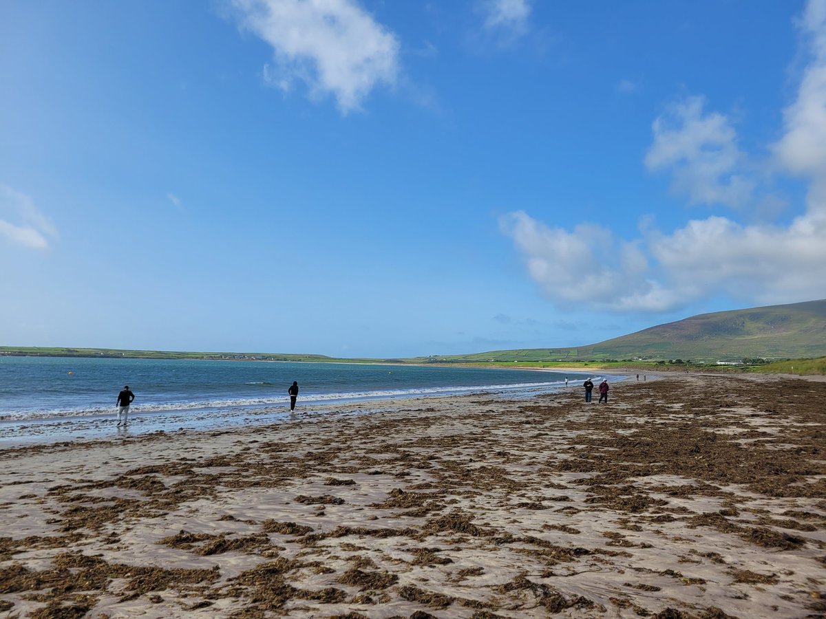 Nuala Moore-Swimmer tweet media