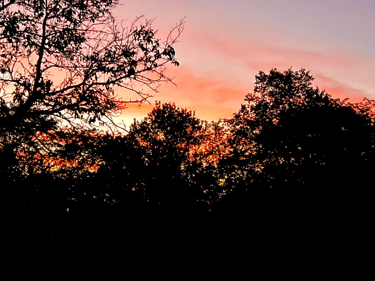 Michele Markey tweet media