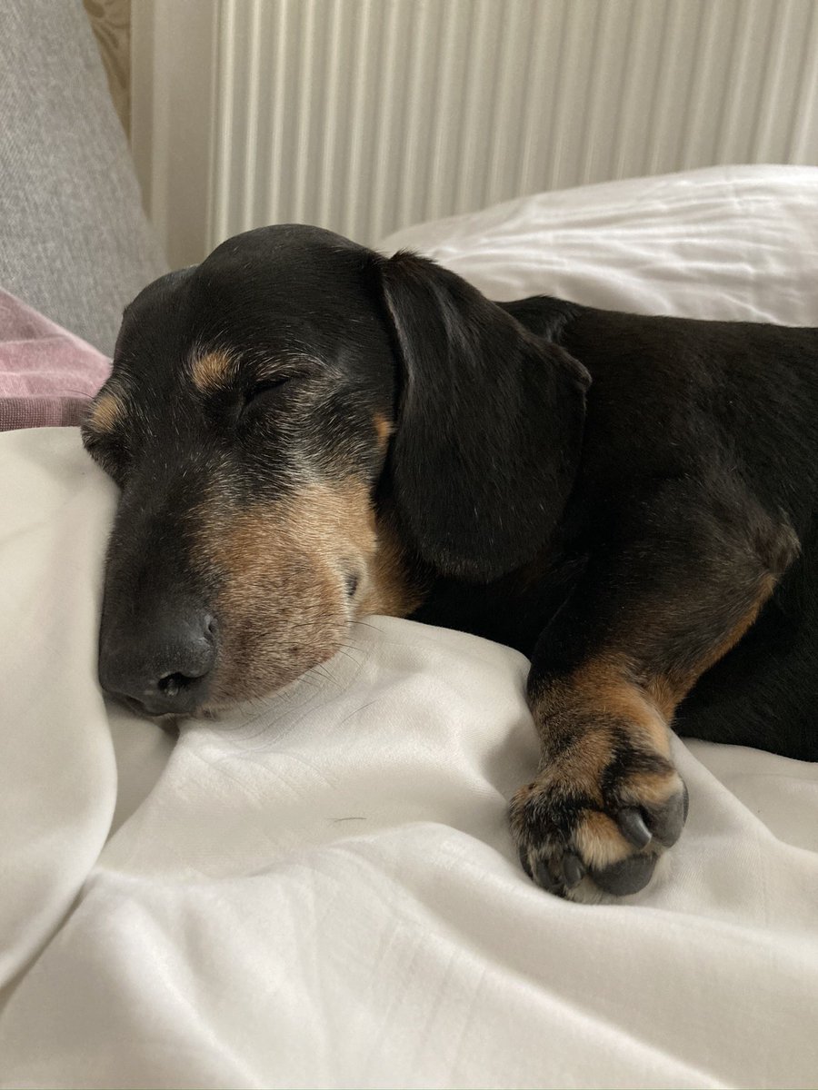 Isabelle tweet media