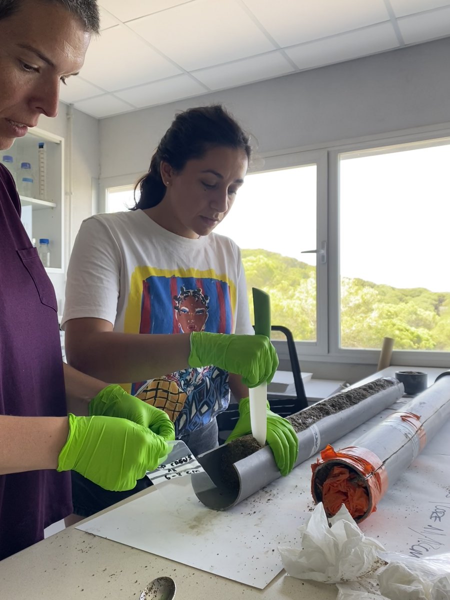 Group of Aquatic Macrophyte Ecology tweet media