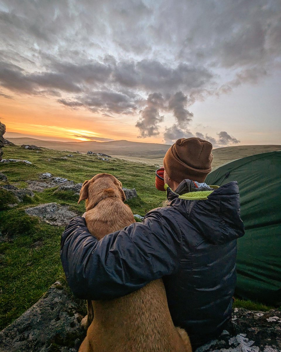 Run_to_Valhalla's tweet photo. Dartmoor Sunrise with Cooper 
#WildCamping #Dartmoor #DartmoorNationalPark #FoxRedLabrador #Sunrise https://t.co/7AltkNKOPy