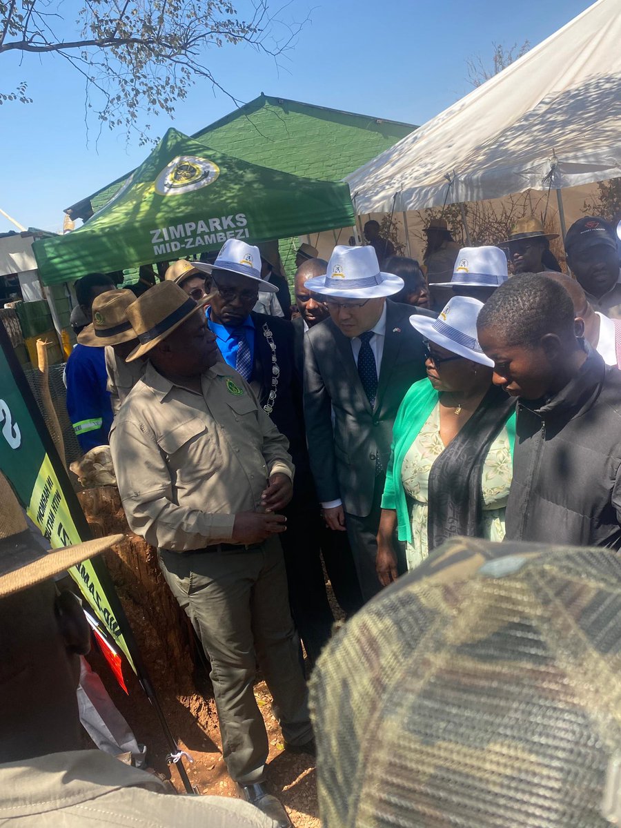 Zimparks tweet media