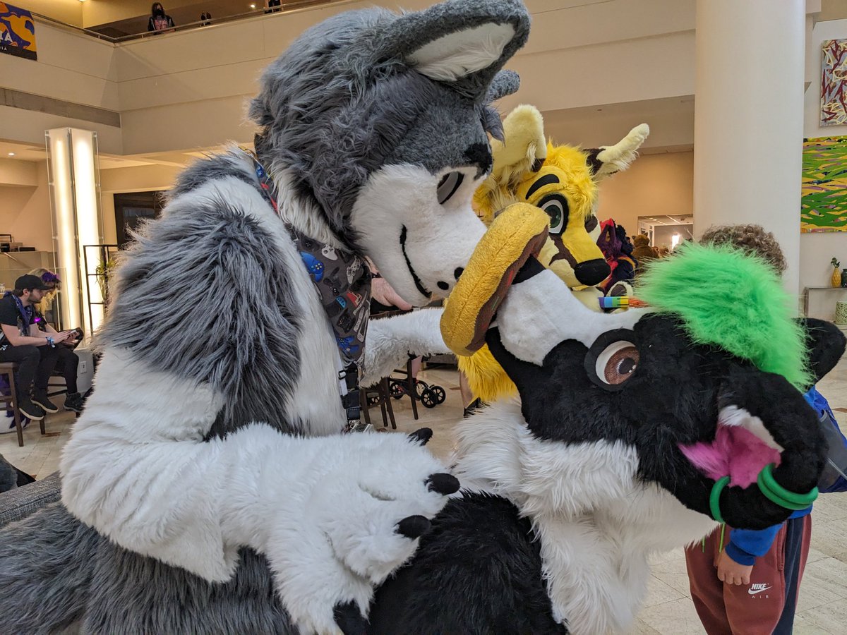 My doughnut tradition with <a href="/WulfWulfWulf1/">FarFar</a> at #Furrydelpia continues.

#FursuitFriday