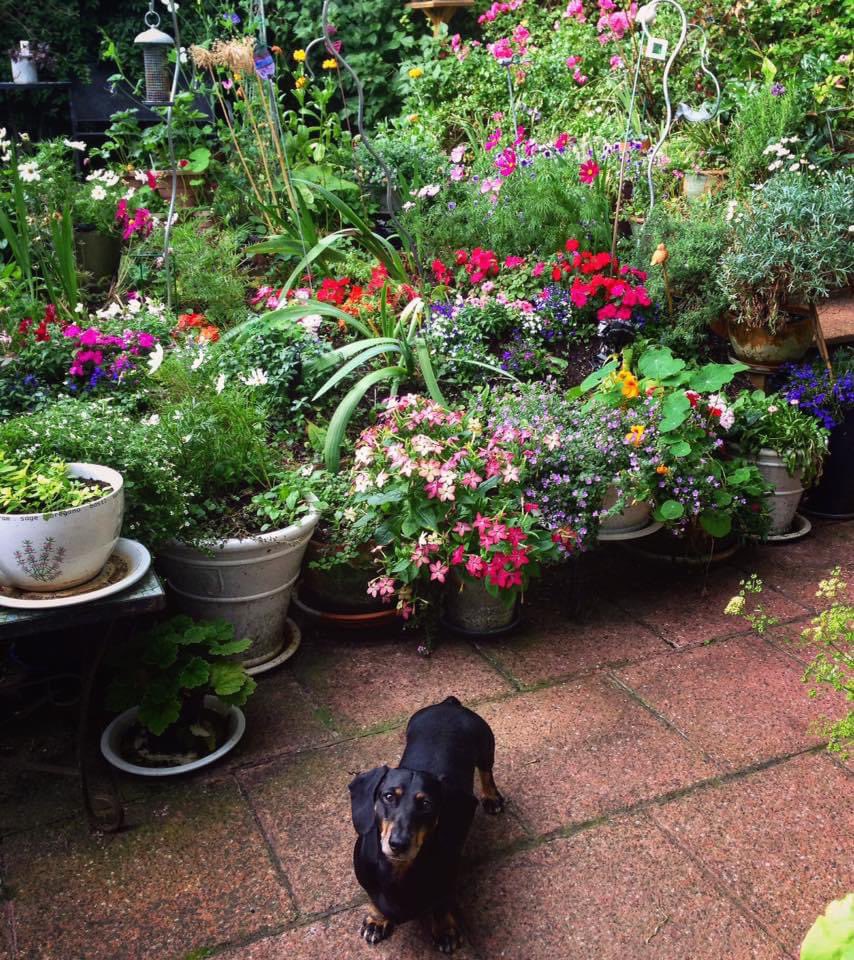 Isabelle tweet media