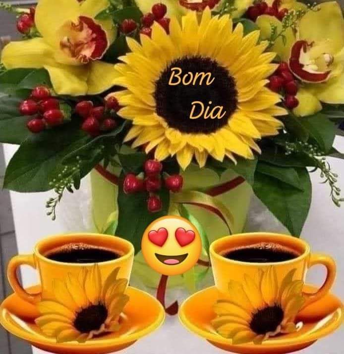 MarcondesSilvia's tweet photo. @N_Carvalheira https://t.co/rPSb6C9fj3
