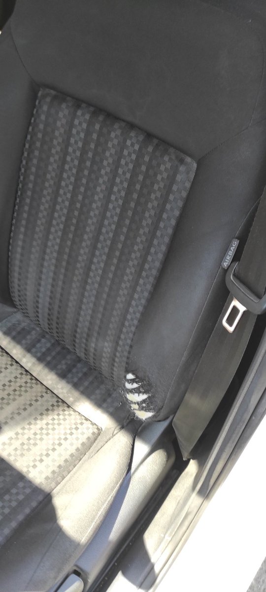 BOMBERBM tweet media