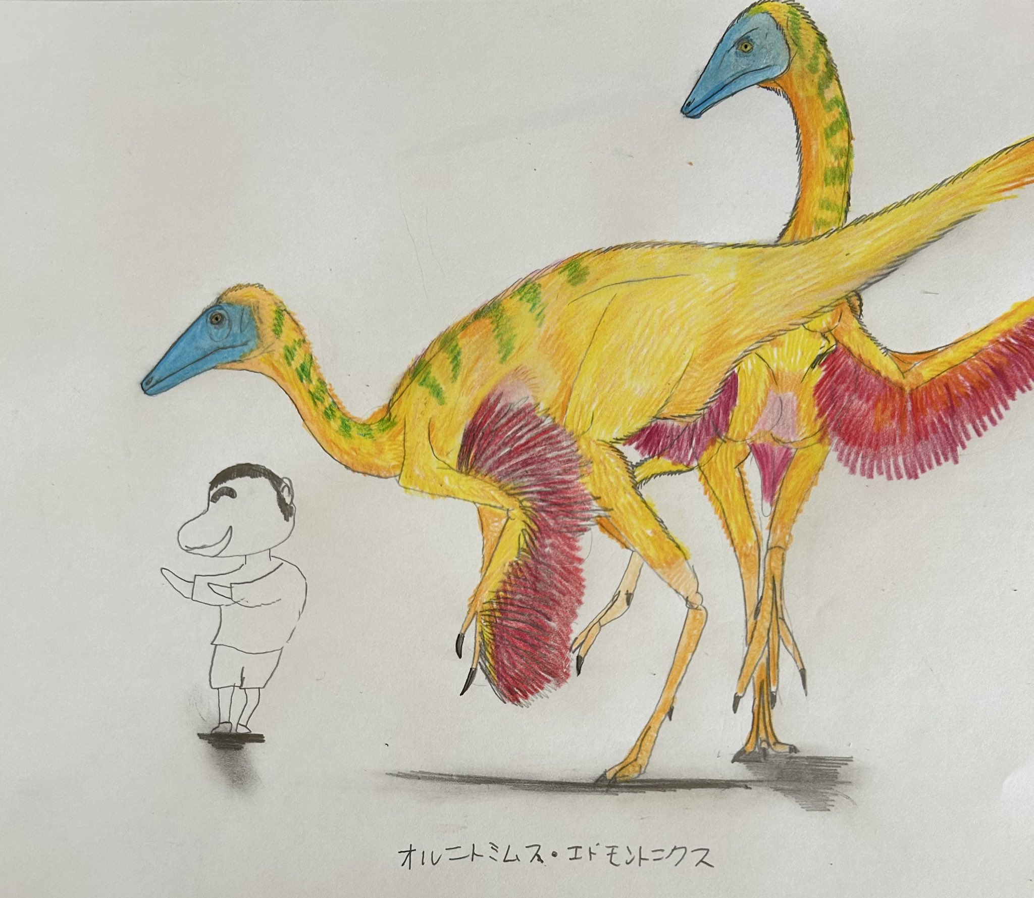 恐竜の世界 みき書房 ウイリアム・スタウト画 恐竜の世界 みき書房 ウイリアム・スタウト画 Dinosaur
