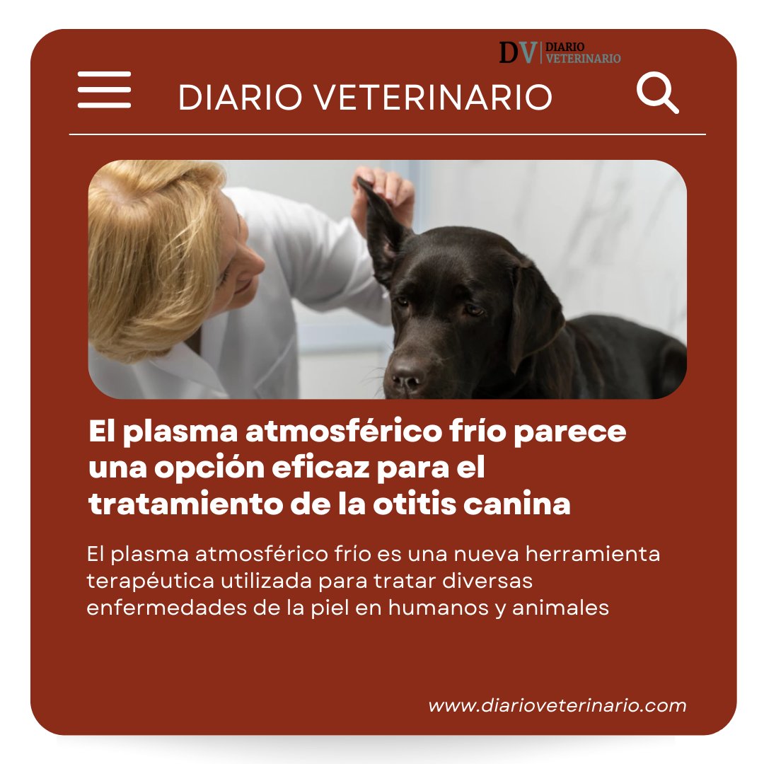 ColegioCorvet's tweet photo. Nuevos avances contra esta enfermedad en nuestros amigos caninos.
Sigue leyendo en https://t.co/zB0iKuaEyl
#otitisCanina #otitisPlasma #diarioVeterinario #colegiodeveterinariosdecordoba #corvet #colvetcordoba #colvet https://t.co/OnhDWwf6uU