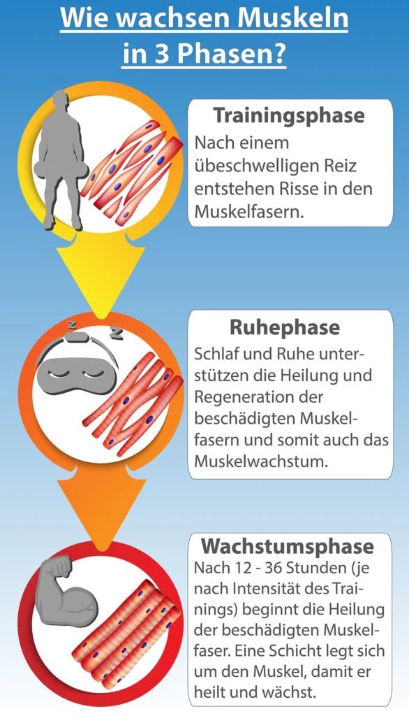 moritz kracht tweet media