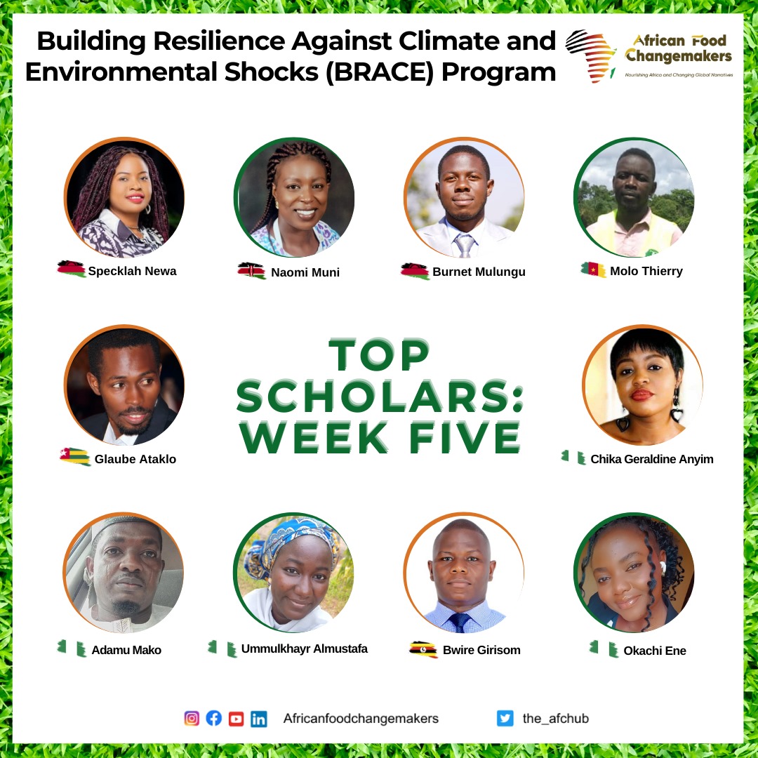 📢 Announcing Our Week Five BRACE Top Scholars! 

Join us in celebrating the incredible achievements of our Week Five BRACE Top Scholars! These outstanding individuals have shown exceptional dedication &amp; innovation in their agribusinesses. They are truly an inspiration.