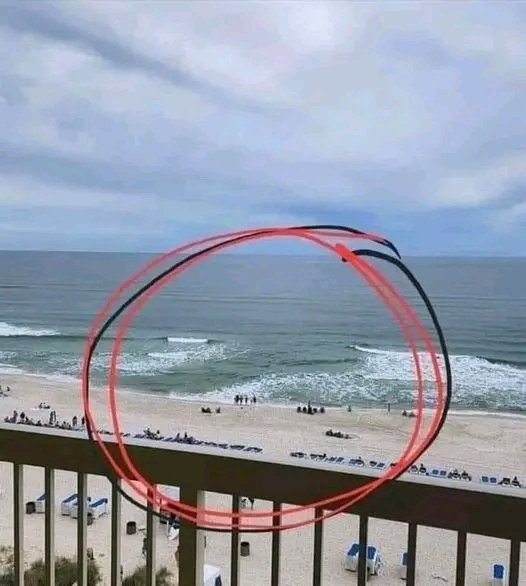 Mr Commonsense (@fopminui) on Twitter photo <a href="/InternetH0F/">internet hall of fame</a> For those hitting the ocean and waves this summer.
This is really simple. You can spot a rip current. Unfortunately, it's where it looks easiest and safest to enter the sea. This is because the rip current is looping around and pulling back OUT. Hence no waves rolling IN. NEVER <a href="/InternetH0F/">internet hall of fame</a> For those hitting the ocean and waves this summer.
This is really simple. You can spot a rip current. Unfortunately, it's where it looks easiest and safest to enter the sea. This is because the rip current is looping around and pulling back OUT. Hence no waves rolling IN. NEVER