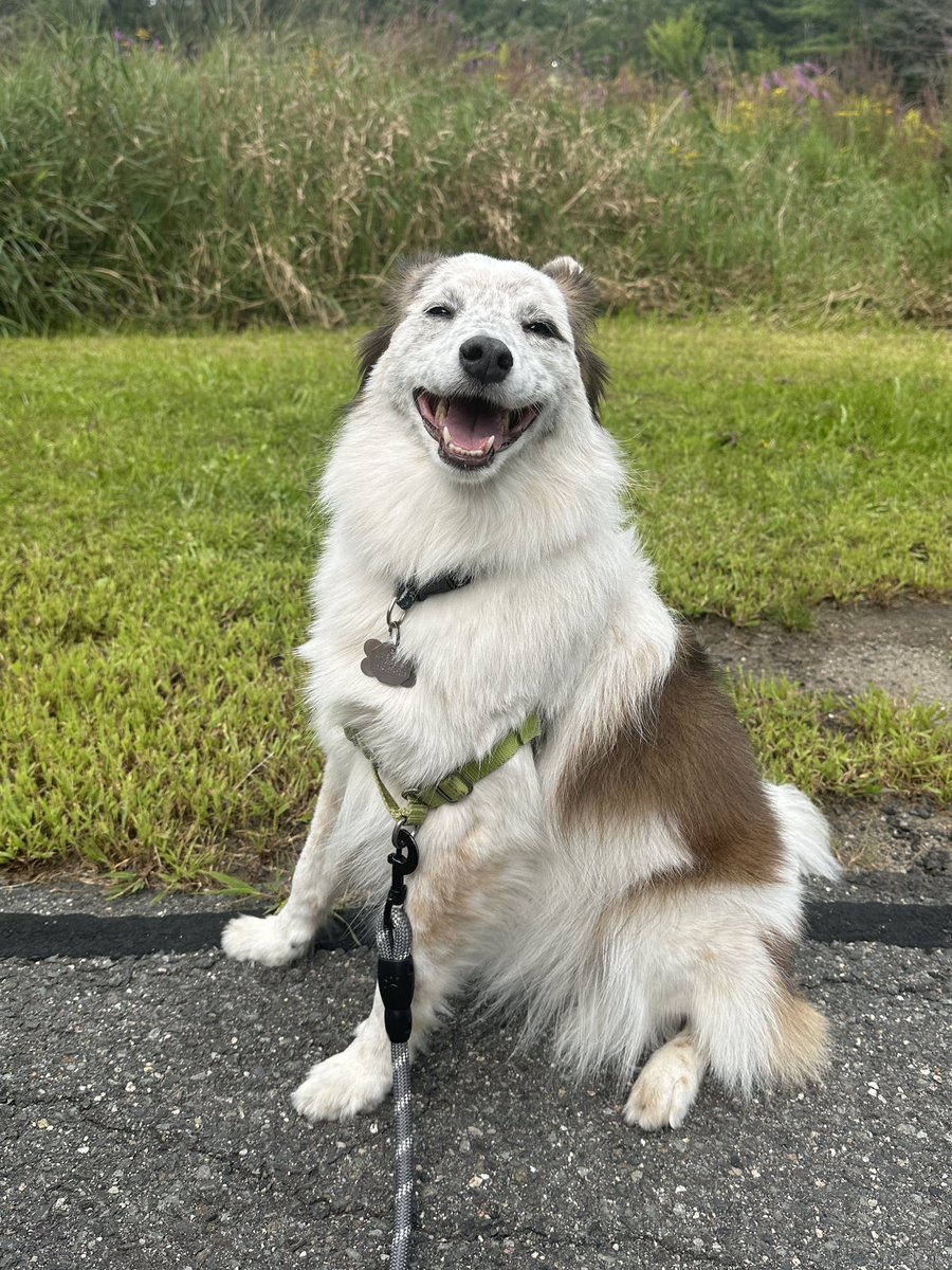 Happy Friday (photo by sis)