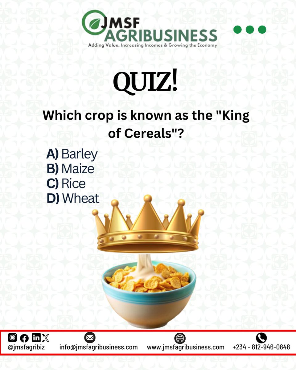 jmsfagribiz's tweet photo. The answer to last week's quiz is "Honeybee"
Thumbs up to everyone who participated. Thank you.

This Friday, we are back with this fun quiz. What do you think is the answer?

Let's see your answer in the comment section.
**
#Agribusiness #Farming #Crops #Quiz #Friday #Africa https://t.co/nvS1ZKXVec