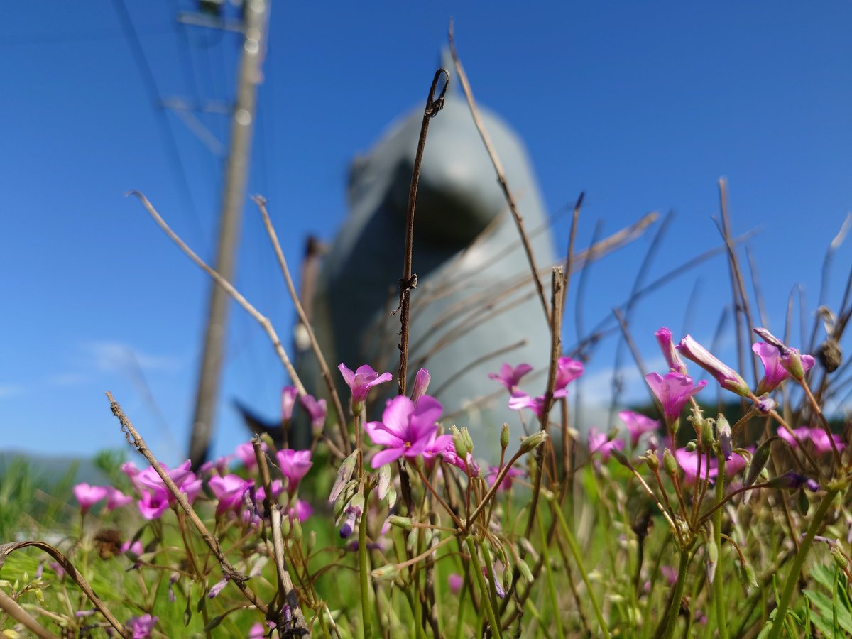 subrow326's tweet image. 今晩はとなりのトトロ
福井県池田町にオブジェがあるよ☺️