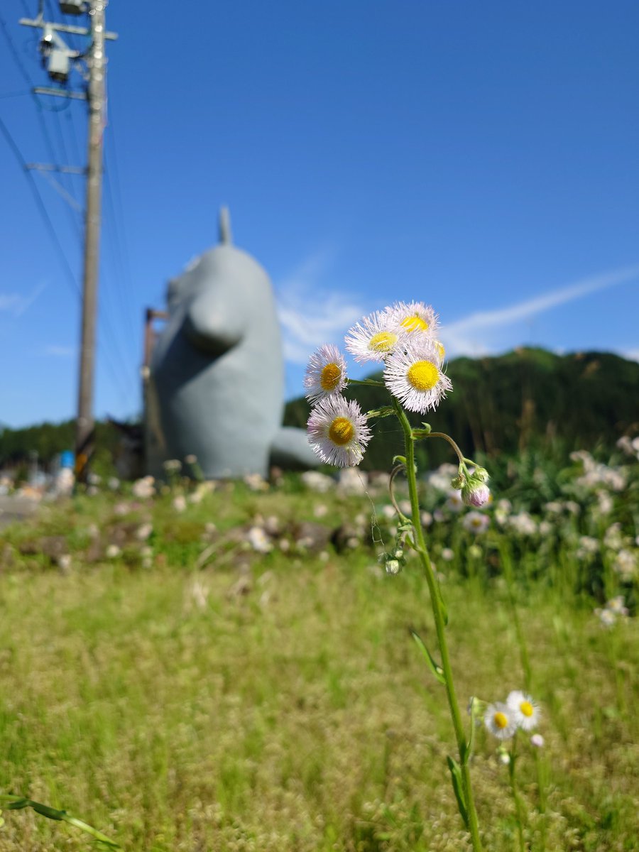 subrow326's tweet image. 今晩はとなりのトトロ
福井県池田町にオブジェがあるよ☺️