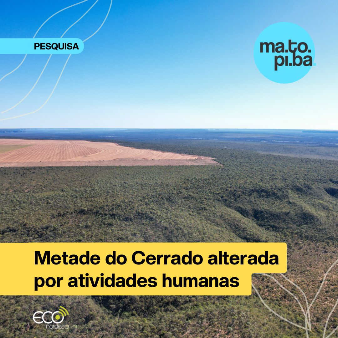 O Cerrado perdeu 5 milhões de hectares de vegetação nativa, sendo 72% dessa perda nos estados do Matopiba: bit.ly/474EHV9
Foto: Eduardo Cunha