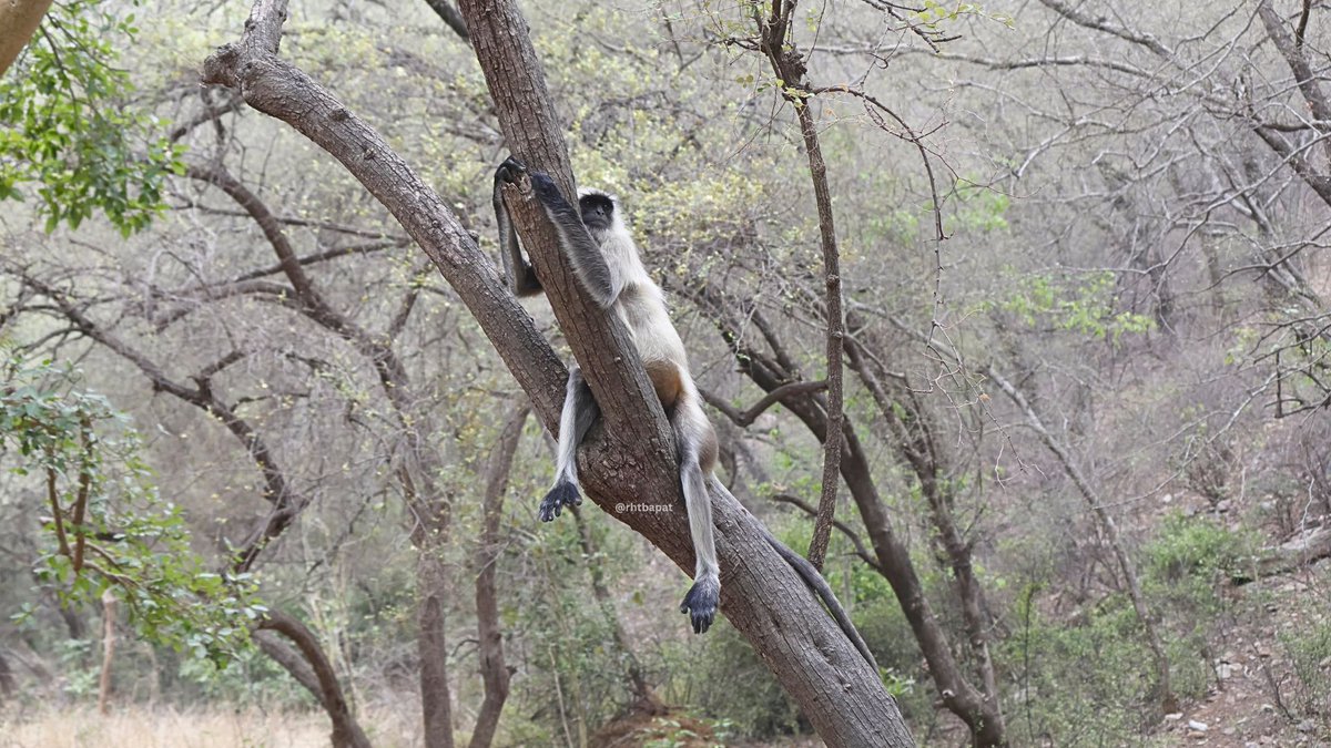 rhtbapat's tweet image. Mood right now

#tired #LeaveMeAlone #Peace