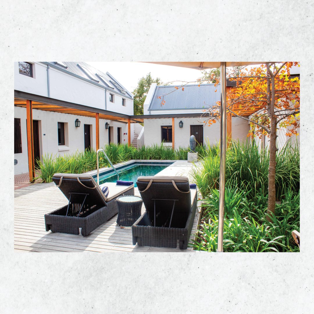 Bidvest Top Turf tweet media