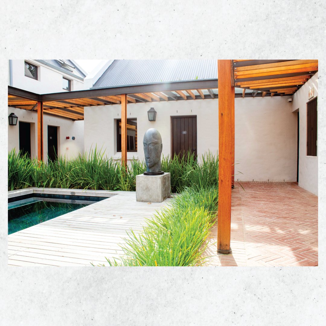 Bidvest Top Turf tweet media