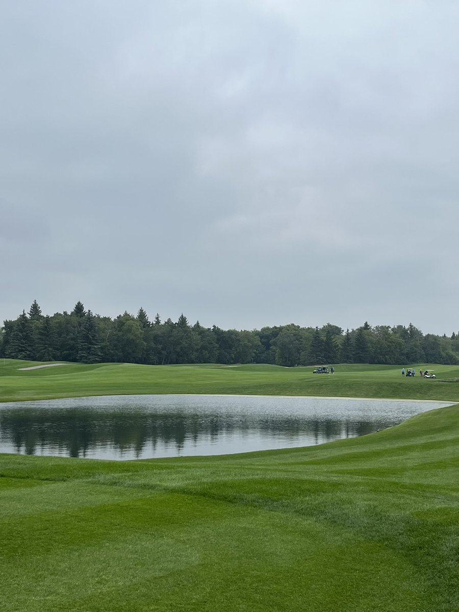 SaskTurf tweet media