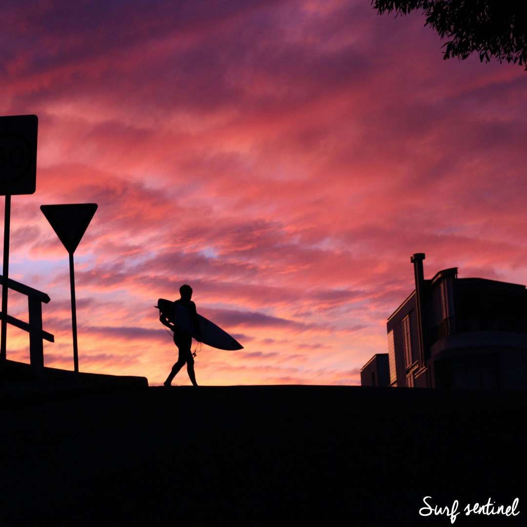 SurfSentinel tweet picture