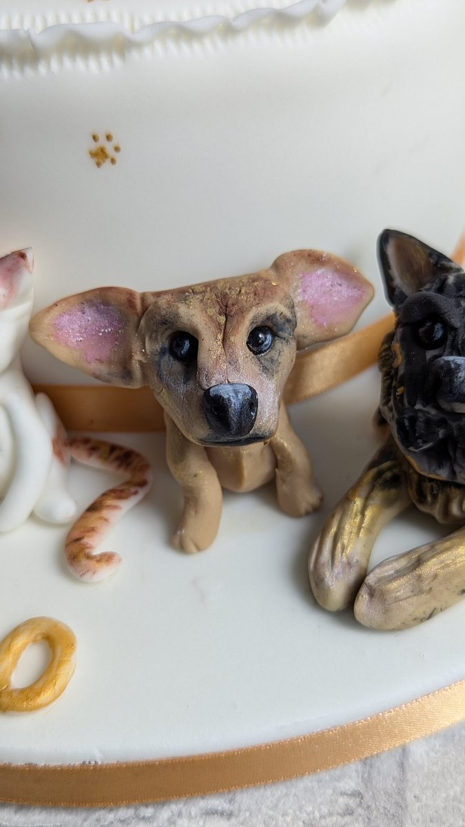 CakesByZozo's tweet photo. It's raining cats &amp; dogs on Kathy's 60th Birthday cake. She loves her pets &amp; her daughter sent me photos of them all to copy. Did I charge well for my time? Nope. Did I lose sleep? Yep. But I do like the cake &amp; it made someone smile so that's always a winner. https://t.co/Fvl873OsiY