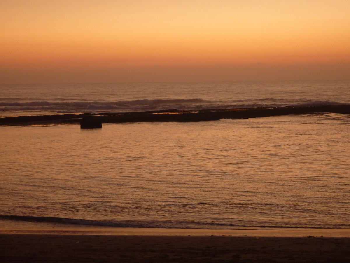 mydigitcamera tweet media