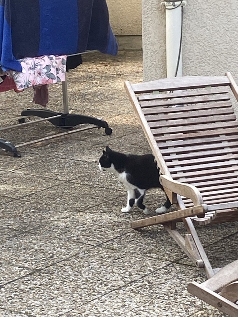 Ça retourne à l’espot pour la Women Rivals, on a fait troisième l’année dernière avec la team la plus éclatée que j’ai jamais vu, j’ai donc cette année encore baissé le niveau (et perso jsuis encore plus naze) 

<a href="/Telnatas/">Tel'</a>
<a href="/AstaL0L/">Asta</a> 
<a href="/Getslide4/">Getslide</a> 
<a href="/Frootz_lol/">Frootz</a>
Et le coach <a href="/BewBiou/">BewBiou</a>