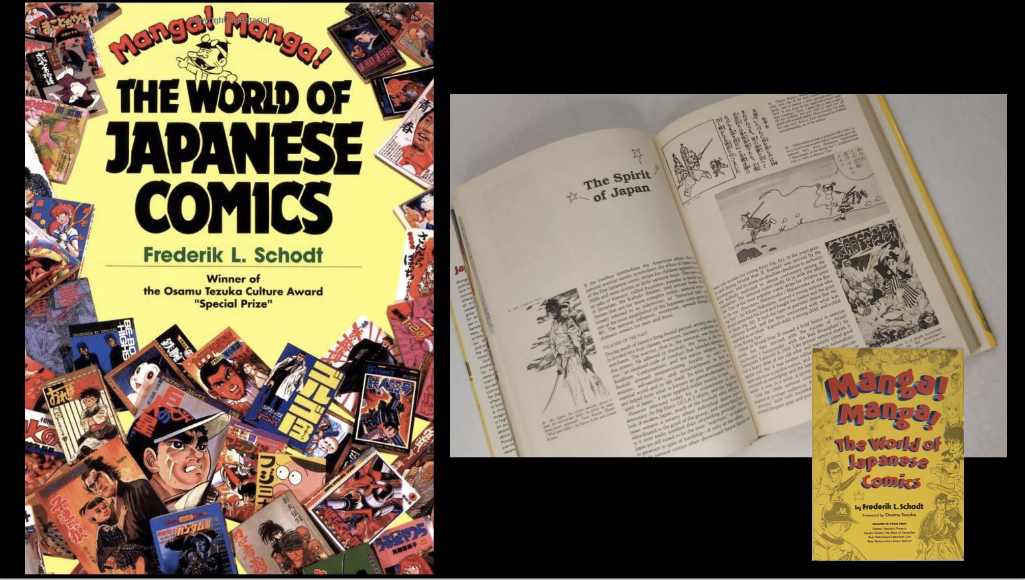 Dreamland Japan: Writings on Modern Manga: Schodt, Frederik