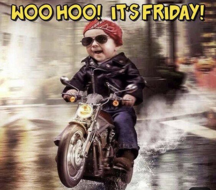 It’s Fritter Friday!
Apple Fritter-you can’t go wrong with a little dough and apples!

Back by popular demand Lake of the Woods 
Lemonade gets it before it’s gone!

Open Friday 8-4
Open Saturday 9-3

Check us out online at hojoe.ca