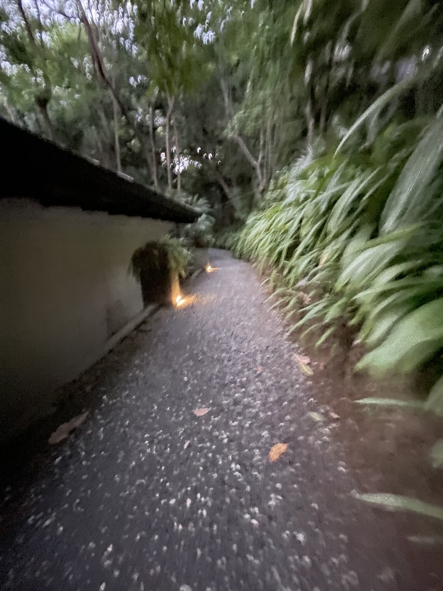 SheAdventure's tweet photo. Take the road less traveled and discover the beauty that awaits you. Embrace the unknown, challenge yourself, and create your own path. You never know what amazing adventures and opportunities lie ahead! 🌿🌟 #adventureawaits #explore #roadlesstraveled https://t.co/dUmJbnpdq2