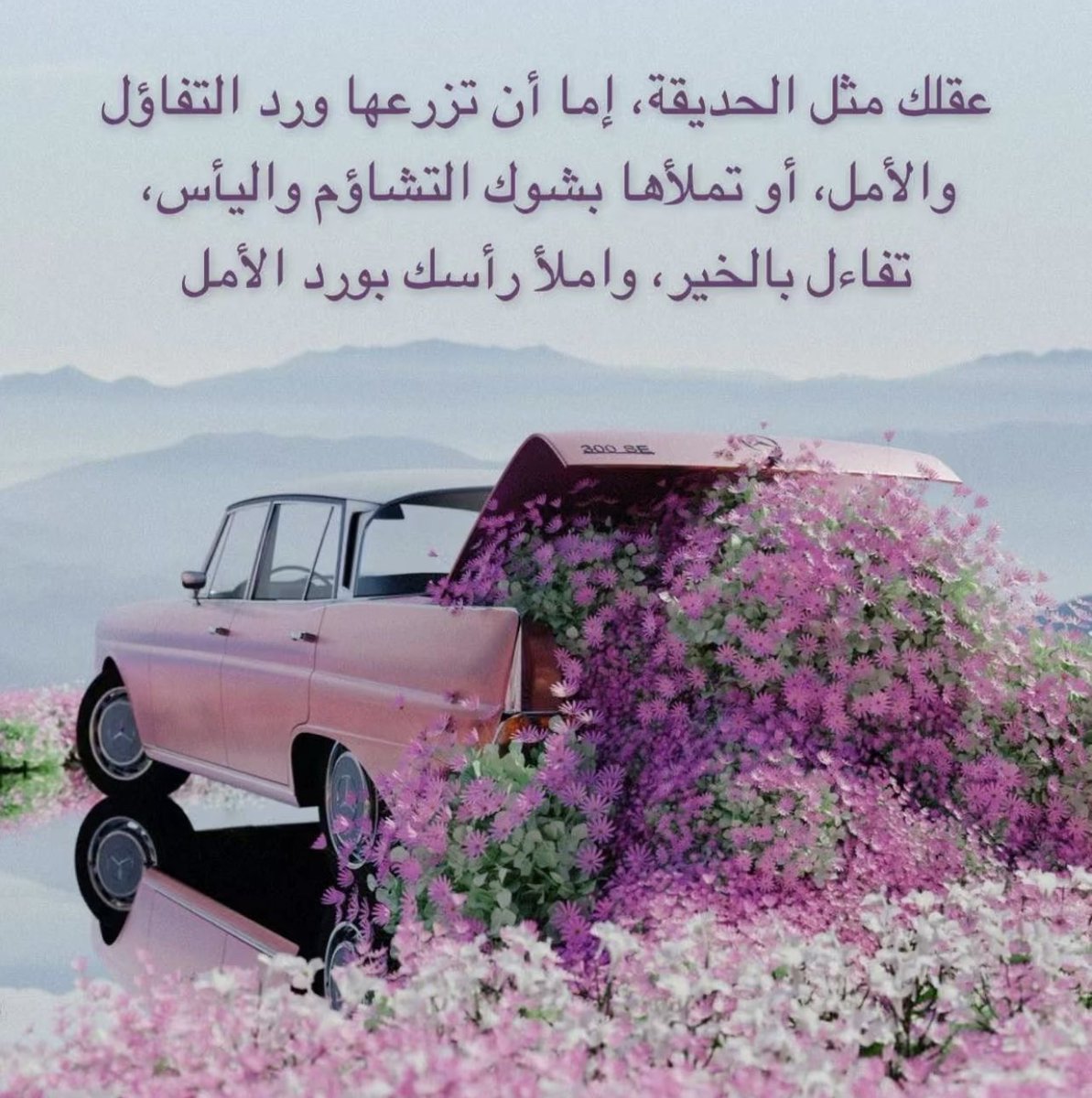 أوراق الخريف🍁🍂 (@sanidy80) on Twitter photo 