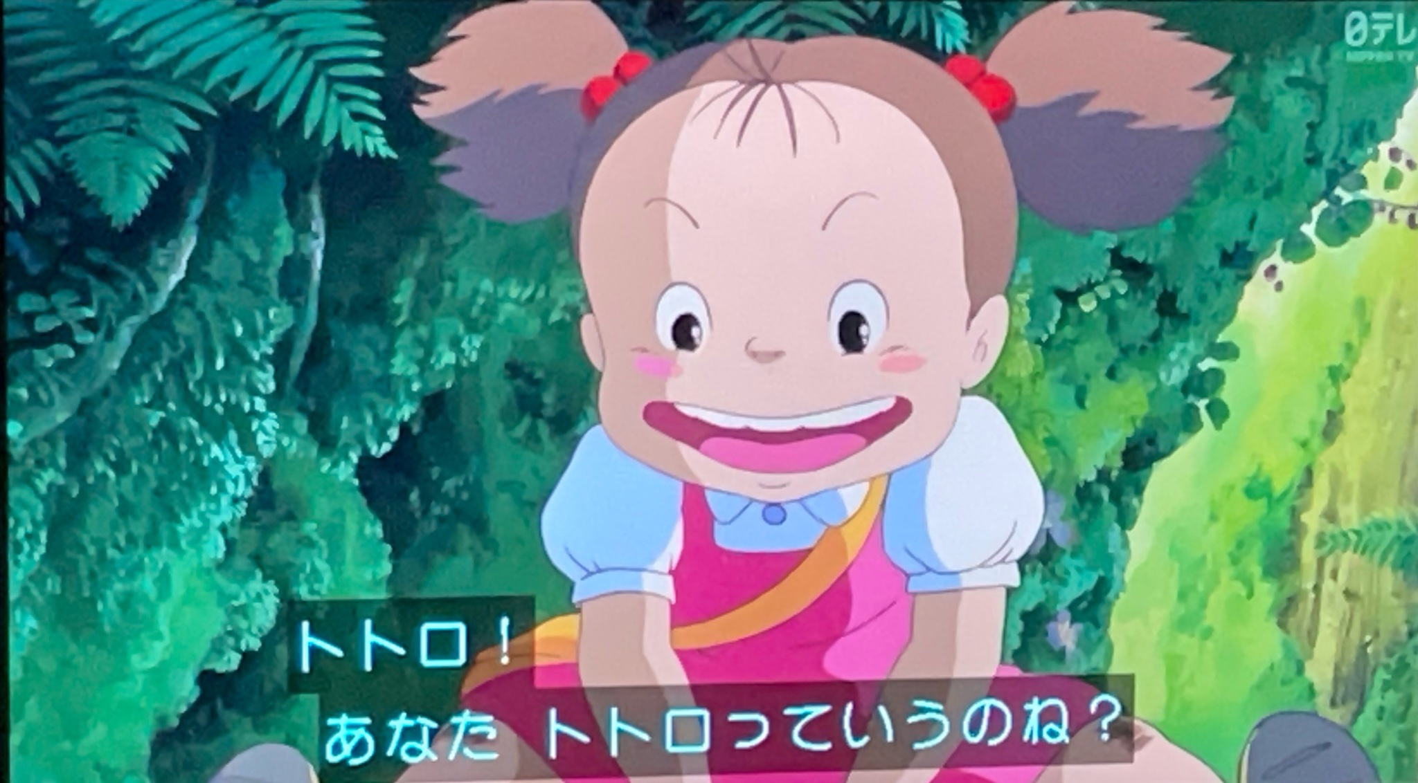 あなた トトロ っ ていう の ね
