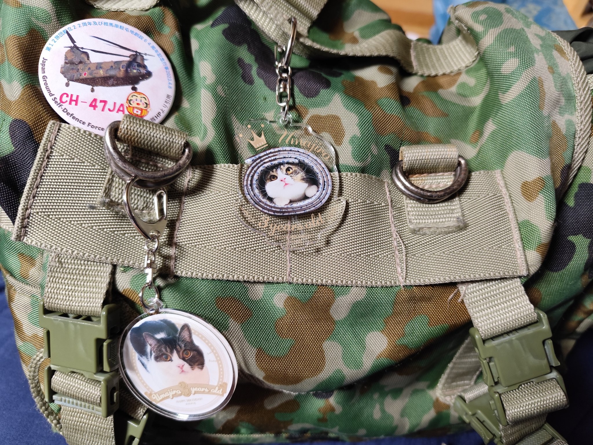 うまちゃん – търсене / X