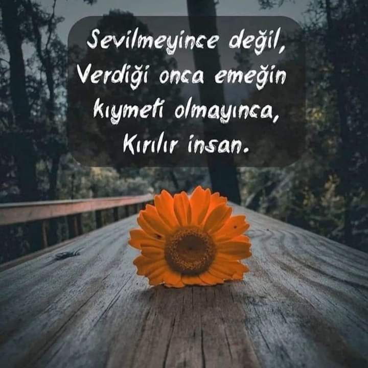 Esin22457419's tweet photo. #YeniProfilResmi https://t.co/fH1qHcwUnl