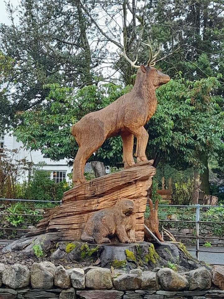 martybuk's tweet photo. @BraydenCreation Hop park Keswick uk https://t.co/xSsTelEu5d