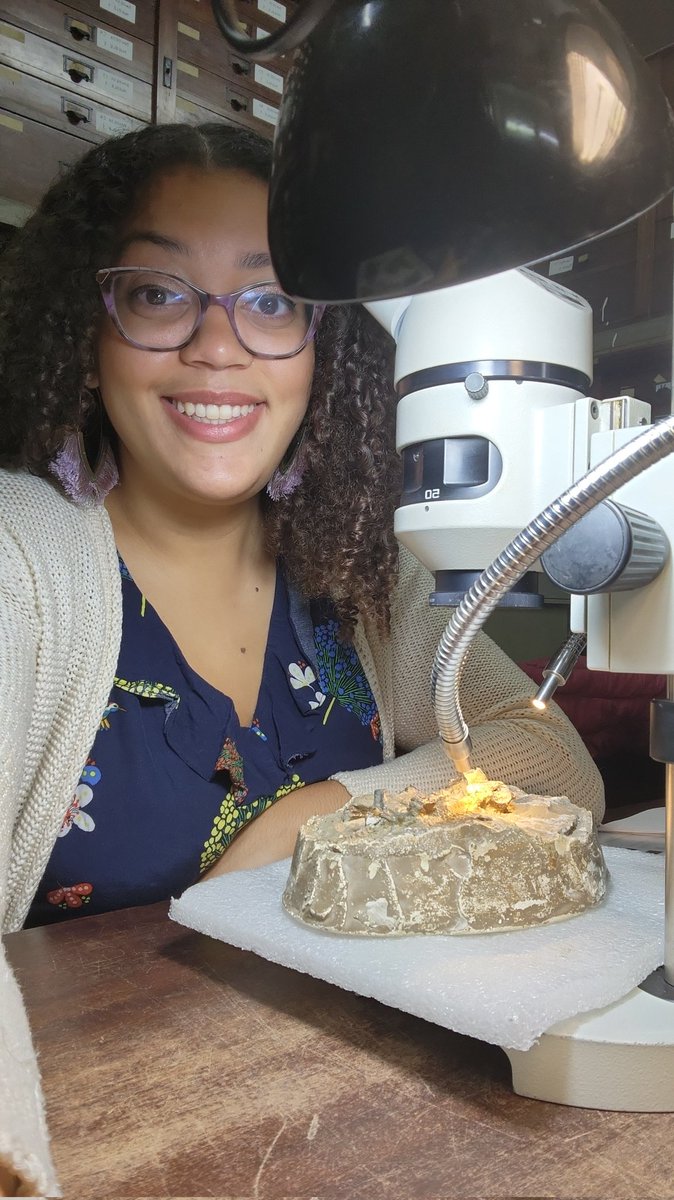 Every once in a whilesomething interesting happens and I remember to post. I'm currently on my grand tour of Argentina looking at all the sauropodomorph jaws I can find!