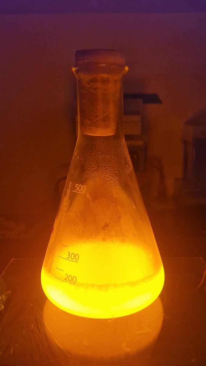 Our bacteria shine! 🌟
They are shining all over the world thanks to our colleagues at different sites🥰

<a href="/ABEProgOffice/">Amgen Biotech Experience (ABE) Program Office</a> <a href="/SabriCol94/">Sabrina Colasse</a>