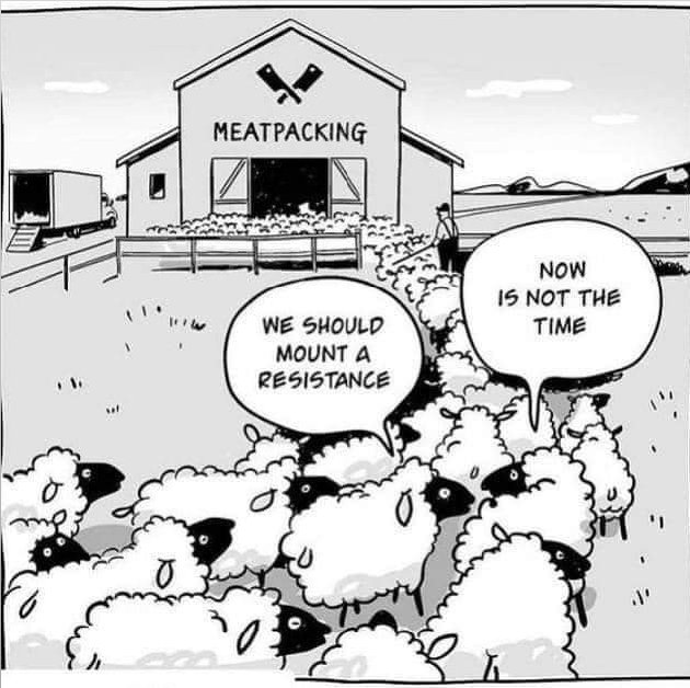 HarvesterCrypto's tweet image. 