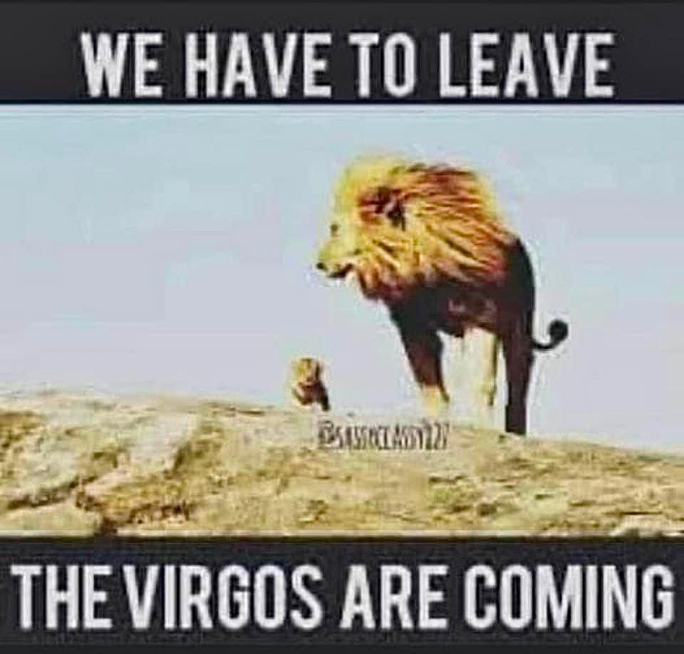 ♍️ 🤣🤣