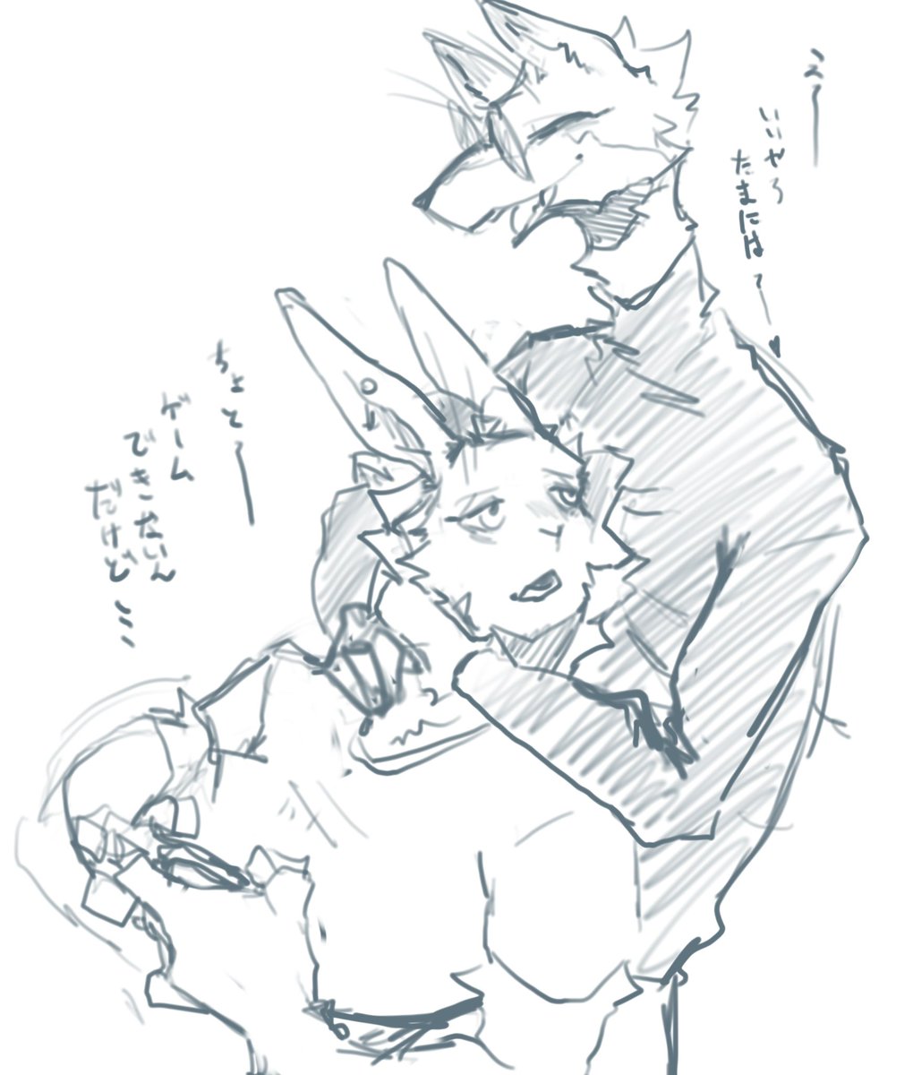 座布団 tweet media