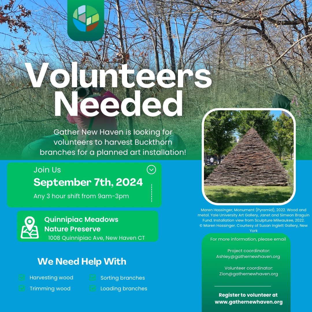 Looking to volunteer in New Haven? Here's the perfect opportunity for you! Join Gather on September 7 between 9 am and 3 pm at Quinnipiac Meadows to help harvest Buckthorn branches for an upcoming art installation. Visit our website to register: gathernewhaven.org/volunteers/