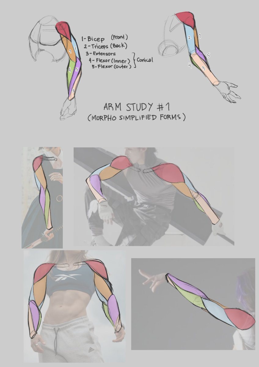 EithranA's tweet photo. １～ Arm Study 1

For sure there are mistakes and I'll probably revisit it more in detail in the future ^^ https://t.co/q8NPuWhCgJ