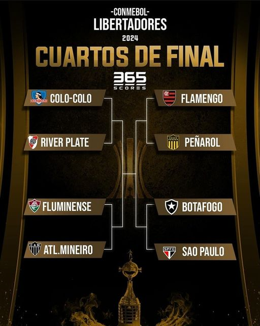 Pe pe pe pero a mi me habían dicho de Colo-Colo y Fluminense estaban en su peor momento 🤡🤡🤡🤡 🐤🐣🐥🐤🐣🐥🐔
