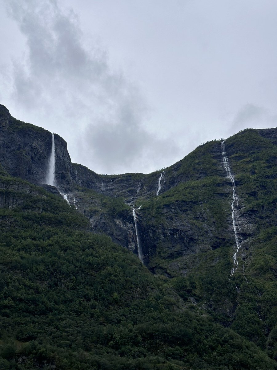 her__mis's tweet photo. Norway in a nutshell. https://t.co/jBUuuJQcId