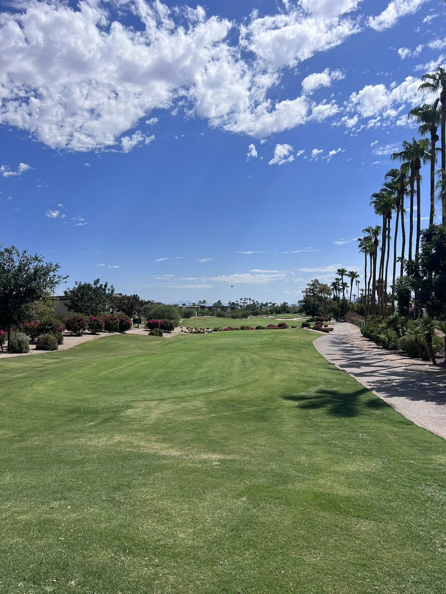 paras360 tweet media